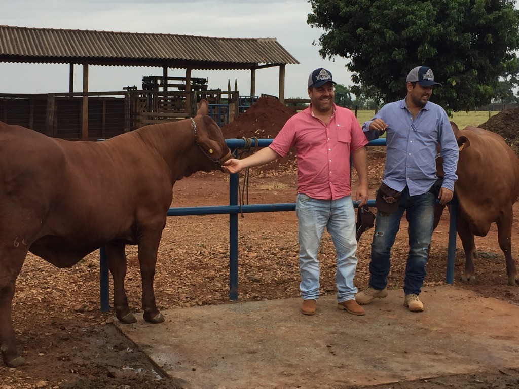 Grupo de colombianos recepcionados por Daví Garcia, em Jaboticabal/SP: “gira tecnica” teve um dia para conhecer e se impressionar com o Senepol da Bela Vista. (Fotos: Assessoria de Comunicação Bela Vista Senepol)